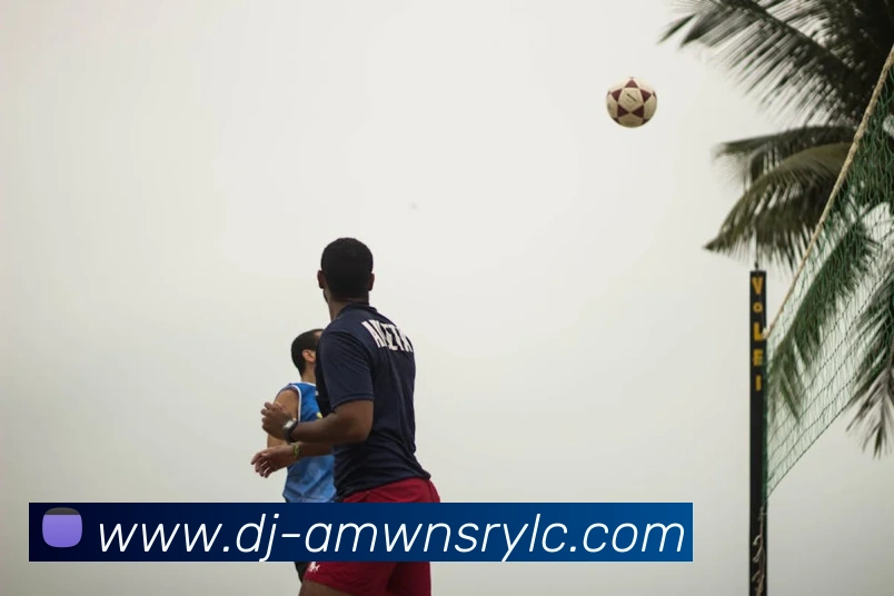 威尼斯人官网平台生态图